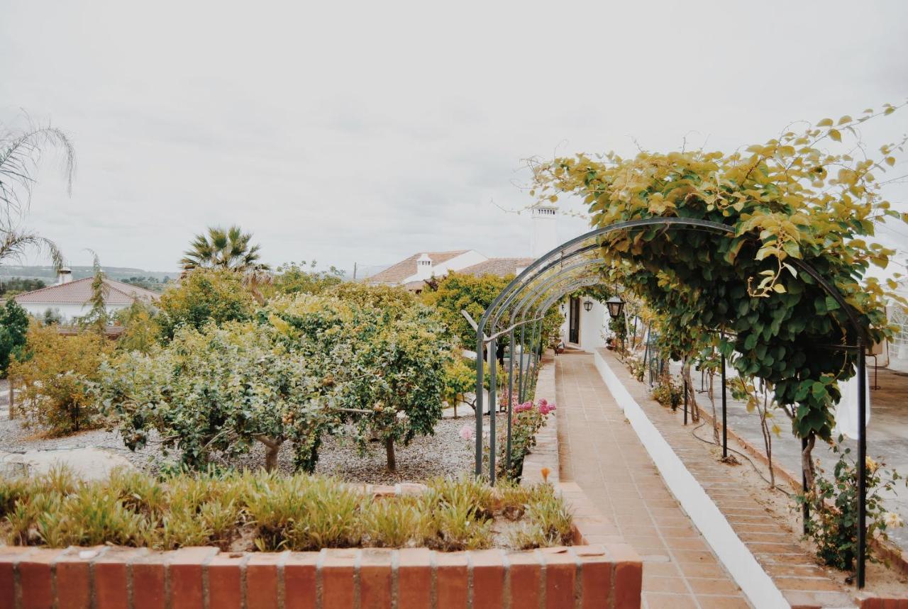 Quinta De Sao Pedro De Tomar Villa Exterior photo