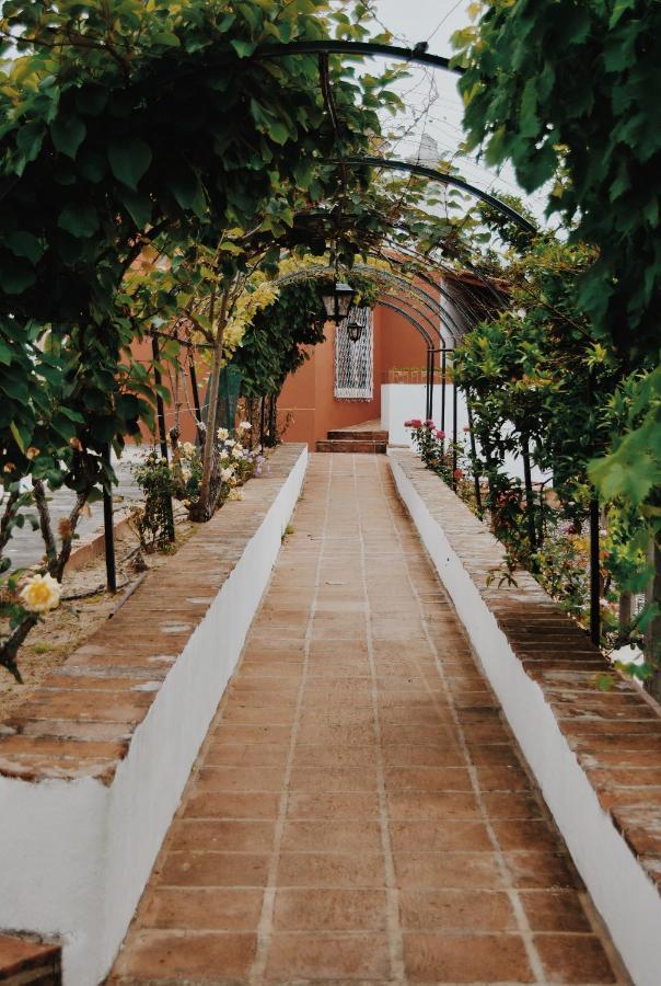 Quinta De Sao Pedro De Tomar Villa Exterior photo